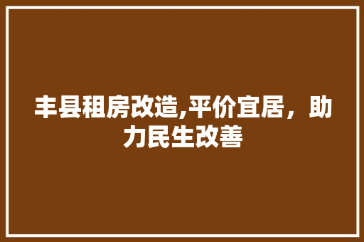 丰县租房改造,平价宜居，助力民生改善