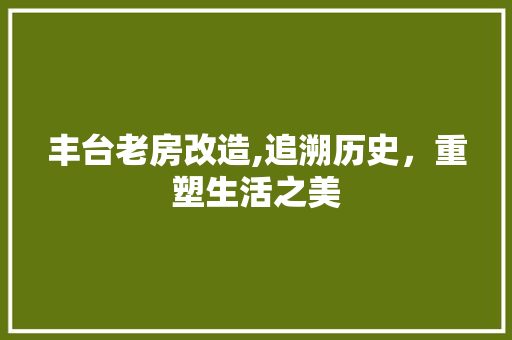 丰台老房改造,追溯历史，重塑生活之美