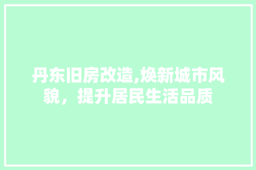 丹东旧房改造,焕新城市风貌，提升居民生活品质
