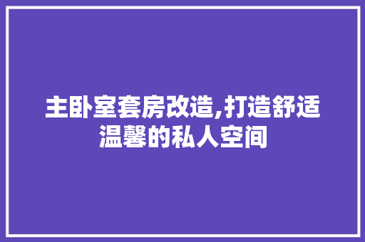 主卧室套房改造,打造舒适温馨的私人空间 厨房维修