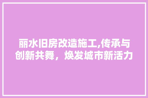 丽水旧房改造施工,传承与创新共舞，焕发城市新活力 家电维修