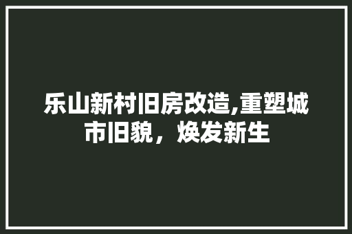 乐山新村旧房改造,重塑城市旧貌，焕发新生