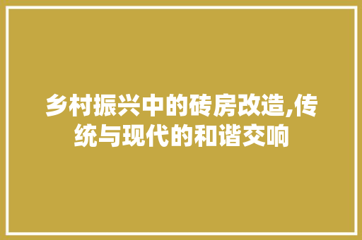 乡村振兴中的砖房改造,传统与现代的和谐交响