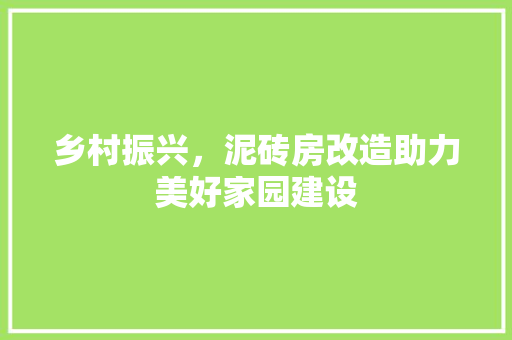 乡村振兴，泥砖房改造助力美好家园建设
