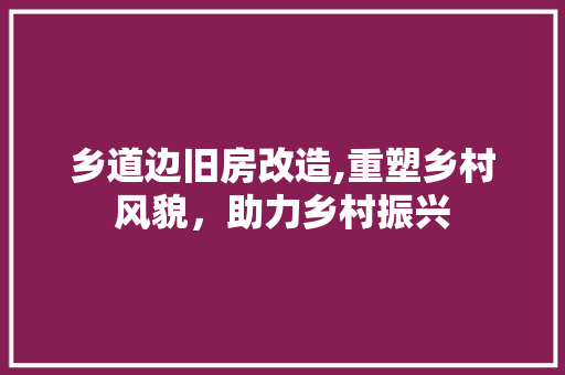 乡道边旧房改造,重塑乡村风貌，助力乡村振兴