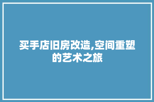 买手店旧房改造,空间重塑的艺术之旅