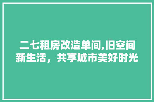二七租房改造单间,旧空间新生活，共享城市美好时光