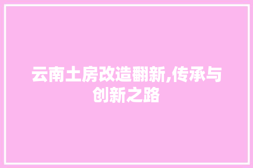 云南土房改造翻新,传承与创新之路 厨房维修