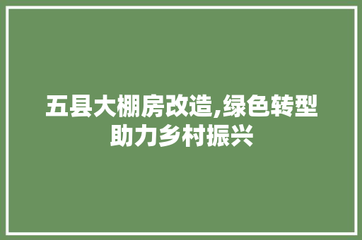 五县大棚房改造,绿色转型助力乡村振兴