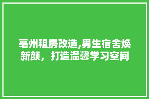 亳州租房改造,男生宿舍焕新颜，打造温馨学习空间 家电维修