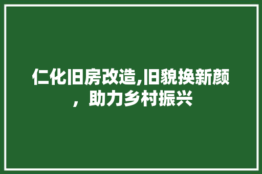 仁化旧房改造,旧貌换新颜，助力乡村振兴 墙体维修