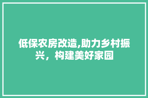低保农房改造,助力乡村振兴，构建美好家园