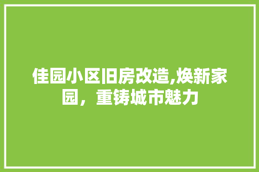 佳园小区旧房改造,焕新家园，重铸城市魅力