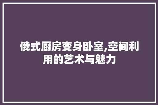 俄式厨房变身卧室,空间利用的艺术与魅力 家电维修