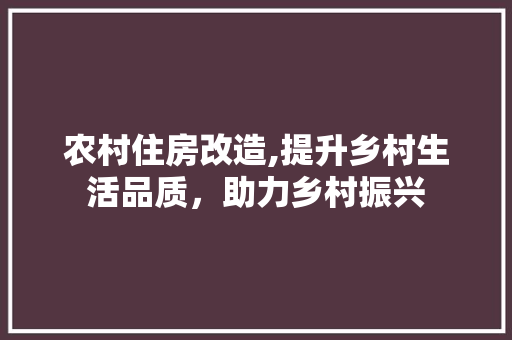 农村住房改造,提升乡村生活品质，助力乡村振兴 墙体维修