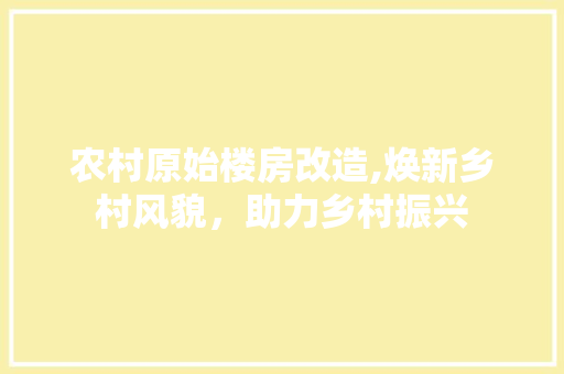 农村原始楼房改造,焕新乡村风貌，助力乡村振兴