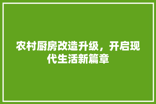 农村厨房改造升级，开启现代生活新篇章