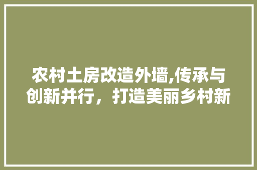 农村土房改造外墙,传承与创新并行，打造美丽乡村新风貌