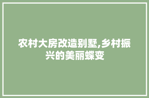 农村大房改造别墅,乡村振兴的美丽蝶变 家电维修