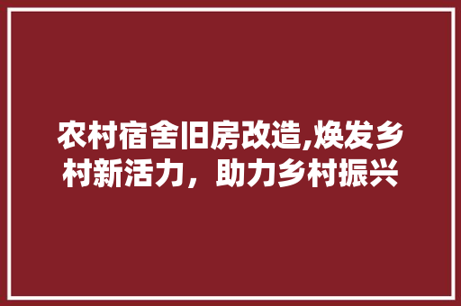 农村宿舍旧房改造,焕发乡村新活力，助力乡村振兴