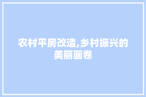 农村平房改造,乡村振兴的美丽画卷 家电维修