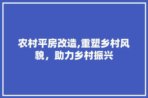 农村平房改造,重塑乡村风貌，助力乡村振兴