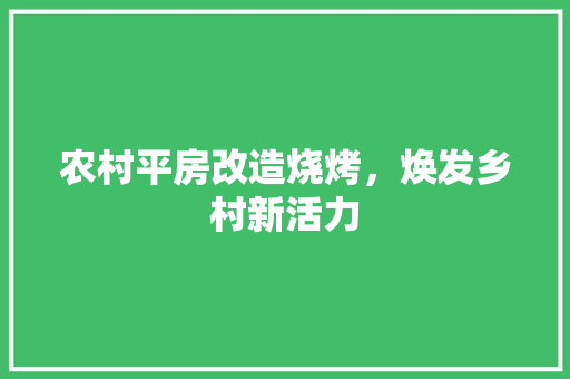农村平房改造烧烤，焕发乡村新活力