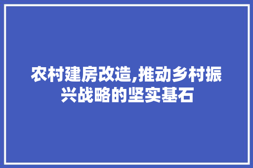 农村建房改造,推动乡村振兴战略的坚实基石