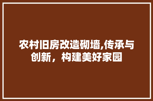 农村旧房改造砌墙,传承与创新，构建美好家园