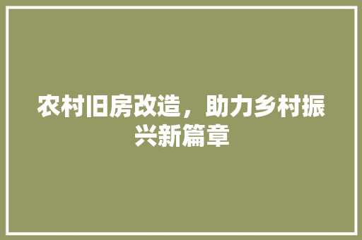 农村旧房改造，助力乡村振兴新篇章 厨房维修