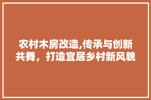 农村木房改造,传承与创新共舞，打造宜居乡村新风貌