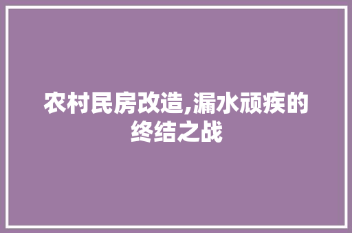农村民房改造,漏水顽疾的终结之战