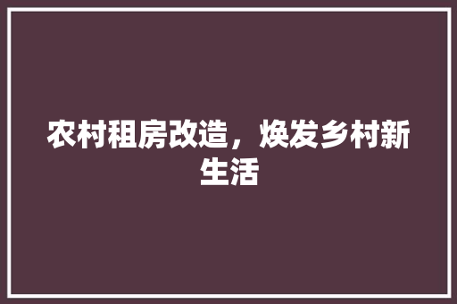 农村租房改造，焕发乡村新生活