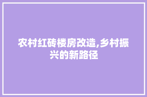 农村红砖楼房改造,乡村振兴的新路径