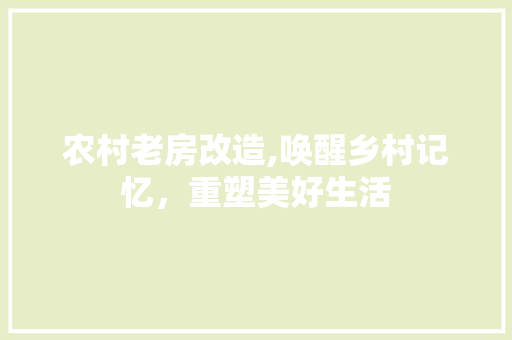 农村老房改造,唤醒乡村记忆，重塑美好生活