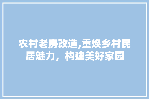农村老房改造,重焕乡村民居魅力，构建美好家园