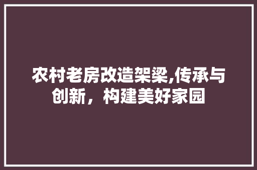 农村老房改造架梁,传承与创新，构建美好家园