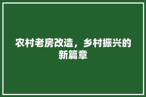 农村老房改造，乡村振兴的新篇章