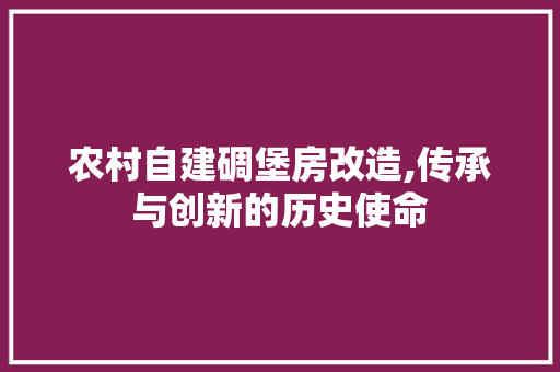 农村自建碉堡房改造,传承与创新的历史使命