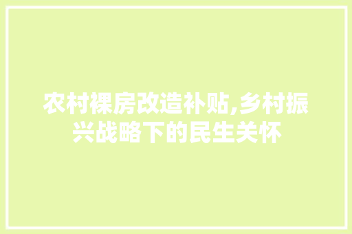 农村裸房改造补贴,乡村振兴战略下的民生关怀