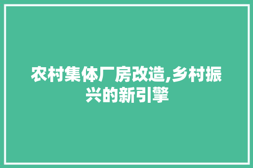 农村集体厂房改造,乡村振兴的新引擎