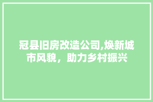 冠县旧房改造公司,焕新城市风貌，助力乡村振兴
