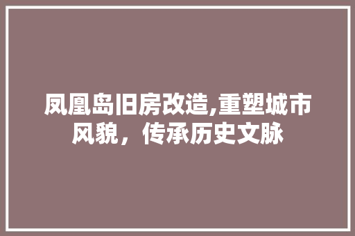 凤凰岛旧房改造,重塑城市风貌，传承历史文脉
