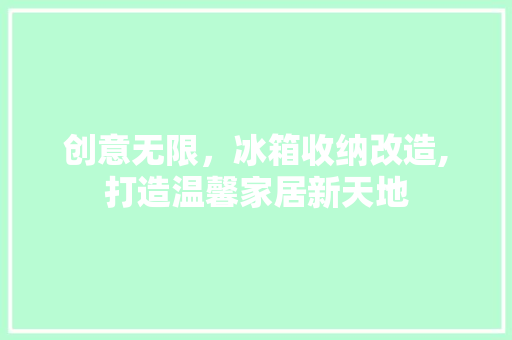 创意无限，冰箱收纳改造,打造温馨家居新天地 墙体维修
