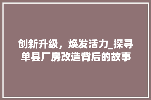 创新升级，焕发活力_探寻单县厂房改造背后的故事