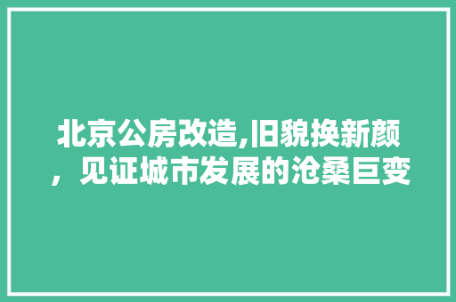 北京公房改造,旧貌换新颜，见证城市发展的沧桑巨变