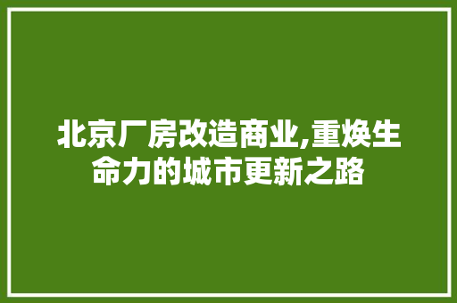 北京厂房改造商业,重焕生命力的城市更新之路