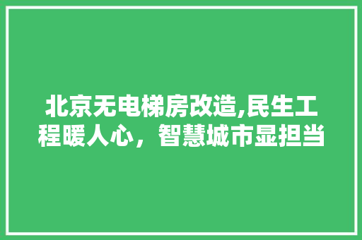 北京无电梯房改造,民生工程暖人心，智慧城市显担当