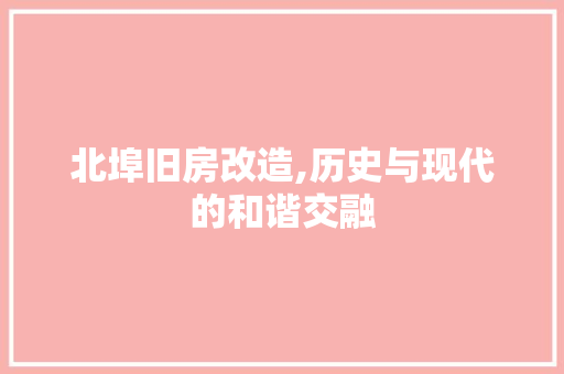 北埠旧房改造,历史与现代的和谐交融 居家维修