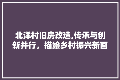 北洋村旧房改造,传承与创新并行，描绘乡村振兴新画卷